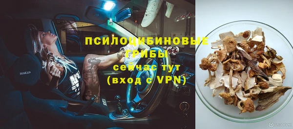 экстази Алексин