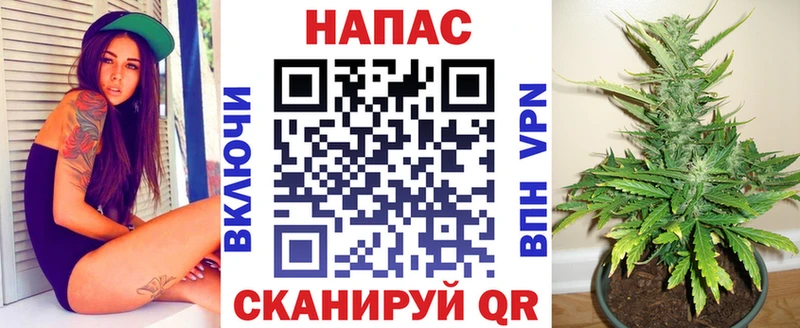 Каннабис ГИДРОПОН  цены наркотик  Каргополь 